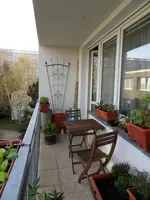 SDC12421.webp