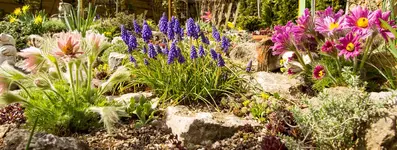 HG 15-04-12-5164.webp