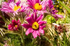 HG 15-04-12-5165.webp