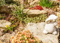 HG 15-04-12-5168.webp