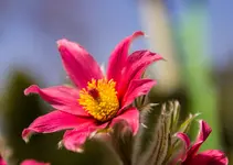 HG 15-04-12-5170.webp