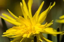 HG 15-04-12-5172.webp