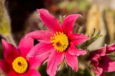 HG 15-04-12-5175.webp
