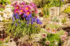 HG 15-04-12-5176.webp