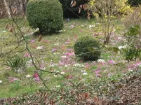 001.webp