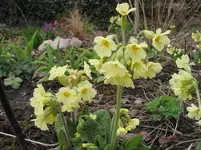 011.webp