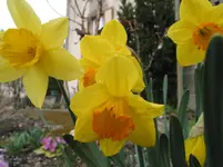 013.webp