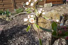 SAM_0518.webp