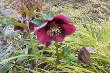 DSCF0611 (2).webp