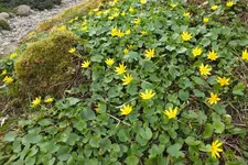 DSCF0613.webp