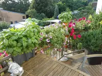 DSCN0692.webp