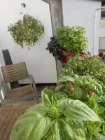 DSCN0691.webp
