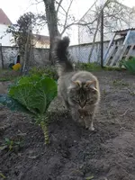 P1320122.webp