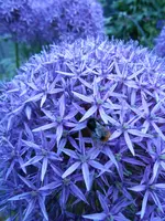 DSCN0250.webp