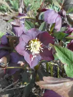 DSCN2171.webp