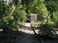 10.webp