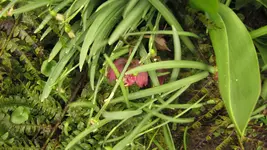 IMG_5589.webp