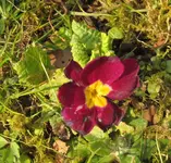 IMG_5638A.webp