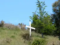 IMG_9801v.jpg