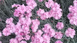 014.webp