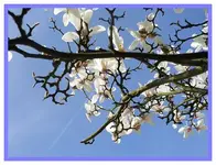 026.webp
