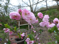 P1320589.webp