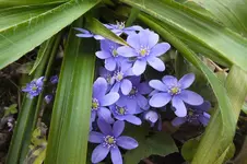 DSCF0622.webp