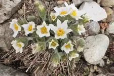 DSCF0624 (2).webp