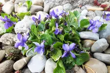 DSCF0628 (2).webp
