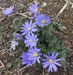 DSCF0630 (2).webp