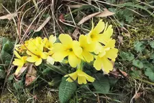 DSCF0632 (2).webp