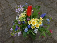 P1320626.webp