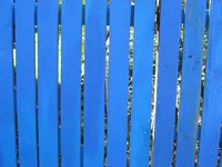 IMG_9949v.webp