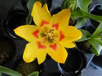 P1320087.webp