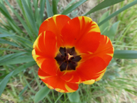 P1320501.webp