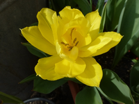 P1320433.webp