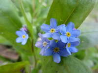 P1320315.webp