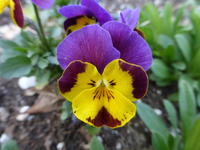 P1320307.webp