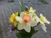 P1310998.webp