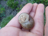 P1320325.webp