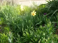 k-P1080590.webp