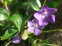 k-P1080603.webp