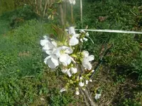 k-P1080607.webp