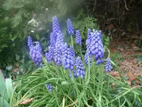 k-P1080610.webp