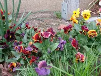 DSC01330.webp