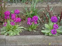 DSC01331.webp