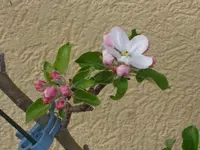 DSC01334.webp