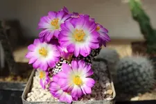 IMG_4392 - Kopie.webp