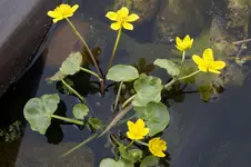 _DSC7924.webp