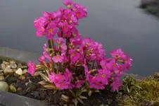 _DSC7926.webp